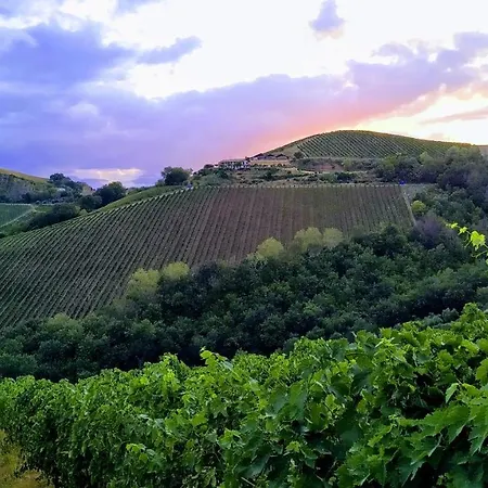 Agricola Lanciani-2
